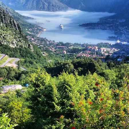 Big Hill Apartment Kotor Exteriör bild
